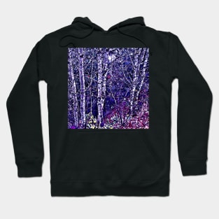 Winter Wonderland Hoodie